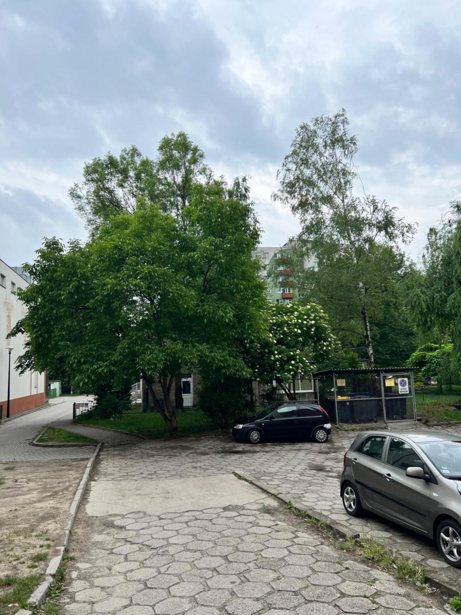 Nocleg Opole Kopernik Apartament Eksteriør bilde